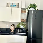 Elsa 폰타네비안체
